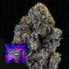 Big Z Wizard Trees Seeds Kaufen Online