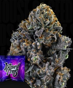 Big Z Wizard Trees Seeds Kaufen Online