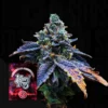 Corked Wizard Trees Seeds Kaufen Online