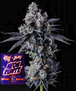 Empire 54 Wizard Trees Seeds Kaufen