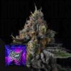 Galactic Rainbow Wizard Trees Seeds Kaufen Online