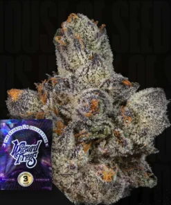 Lemon Fever Wizard Trees Seeds