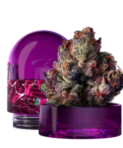 RS11 Wizard Trees Kaufen