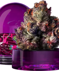 Rainbow Gelato Wizard Trees Kaufen Online