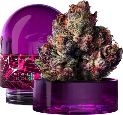 Rainbow Gelato Wizard Trees Kaufen Online