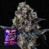 White Soho Wizard Trees Seeds Kaufen