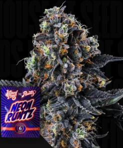 White Soho Wizard Trees Seeds Kaufen
