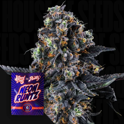 White Soho Wizard Trees Seeds Kaufen