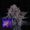 Wizard Fuel Wizard Trees Seeds Kaufen Online