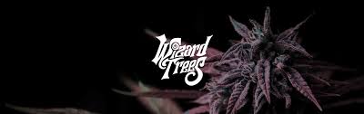 Wizard Trees Seeds