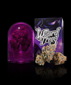 Wizard Trees Tea Time Kaufen